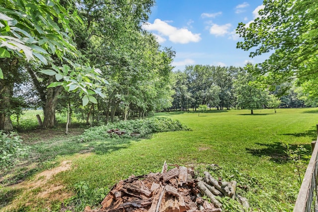 4575 Grovewood Ct, Clarksville, TN 37040 - photo 49