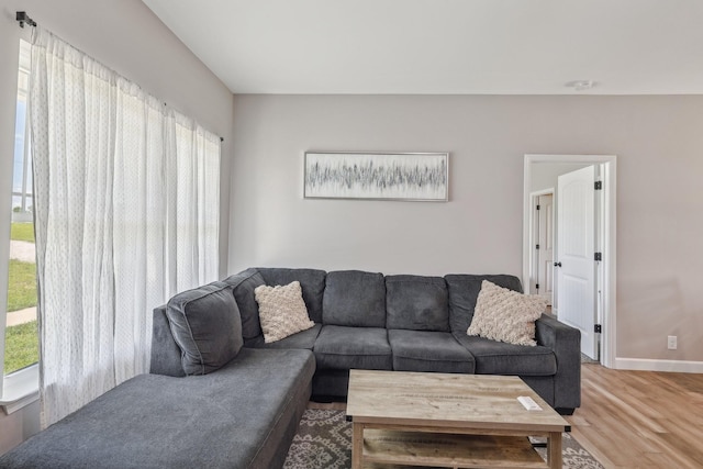 1219 Oak Grove Rd, Dickson, TN 37055 - living area with plenty of natural light and light wood finished floors