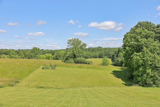 1219 Oak Grove Rd, Dickson, TN 37055 - view of yard