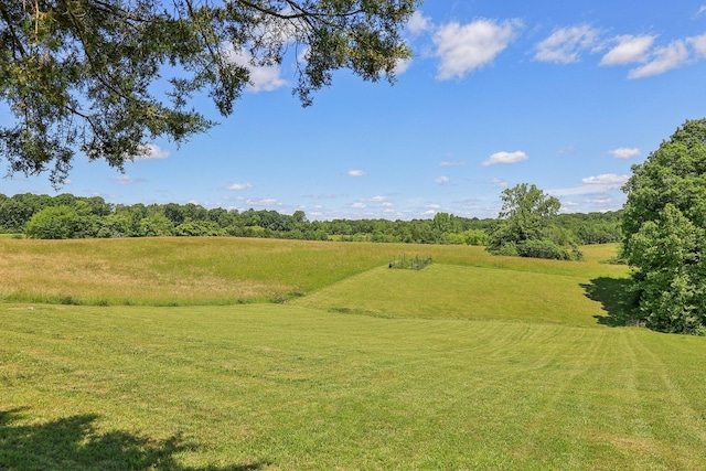 1219 Oak Grove Rd, Dickson, TN 37055 - view of grassy yard