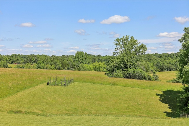 1219 Oak Grove Rd, Dickson, TN 37055 - view of yard featuring a view of trees