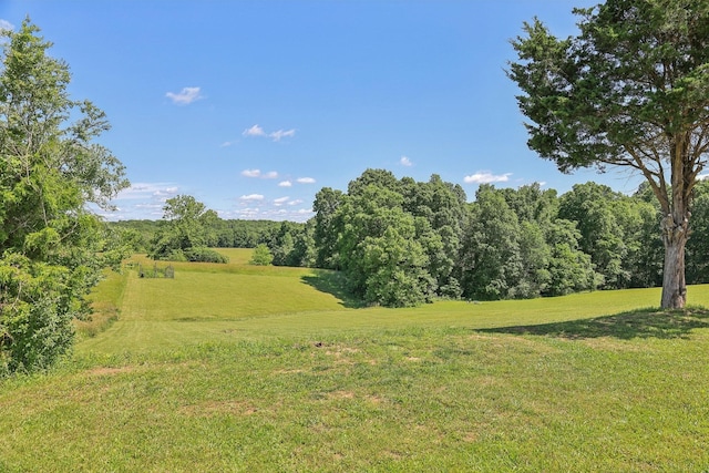 1219 Oak Grove Rd, Dickson, TN 37055 - view of green lawn