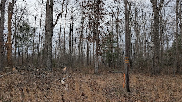 6152 Tomahawk Dr, Crossville, TN 38572 - photo 8