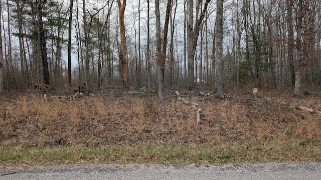 6152 Tomahawk Dr, Crossville, TN 38572 - photo 10