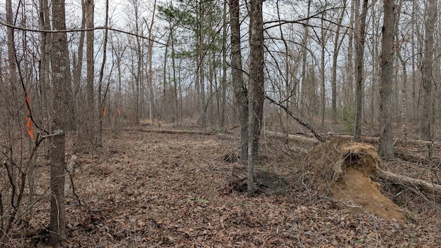 6152 Tomahawk Dr, Crossville, TN 38572 - photo 11