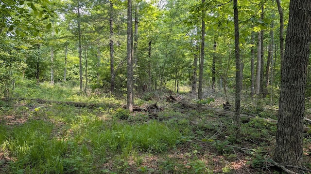 6152 Tomahawk Dr, Crossville, TN 38572 - photo 6
