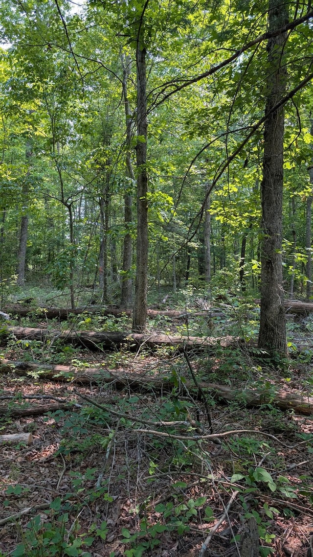 6152 Tomahawk Dr, Crossville, TN 38572 - photo 2