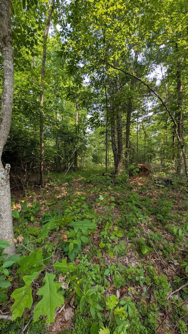 6152 Tomahawk Dr, Crossville, TN 38572 - photo 5