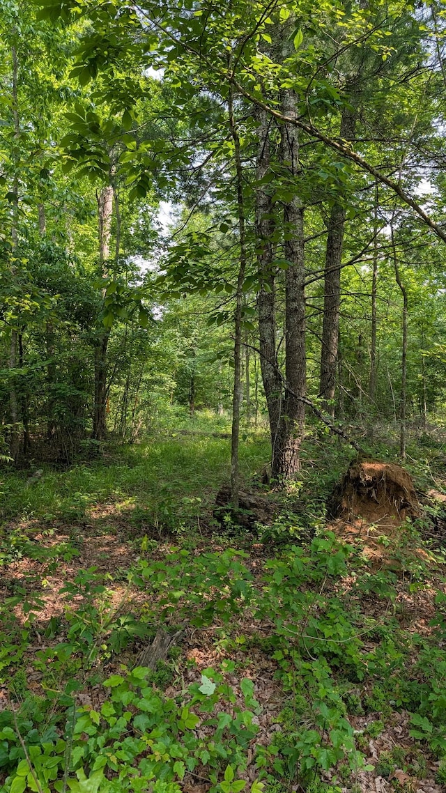 6152 Tomahawk Dr, Crossville, TN 38572 - photo 4