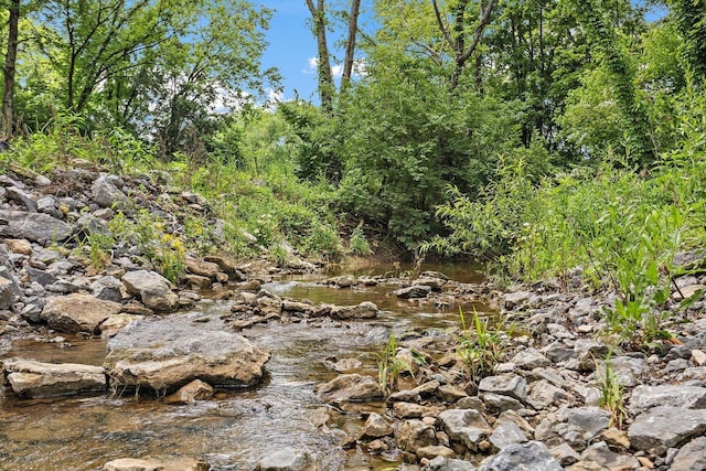 1029 Jenkins Ln, Hendersonville, TN 37075 - photo 22