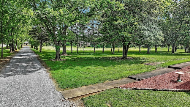 1029 Jenkins Ln, Hendersonville, TN 37075 - photo 26