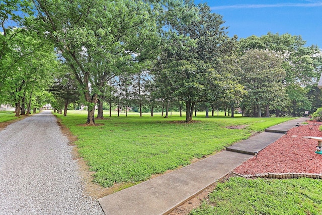 1029 Jenkins Ln, Hendersonville, TN 37075 - photo 25