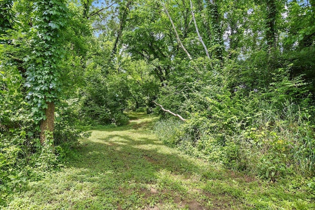 1029 Jenkins Ln, Hendersonville, TN 37075 - photo 85