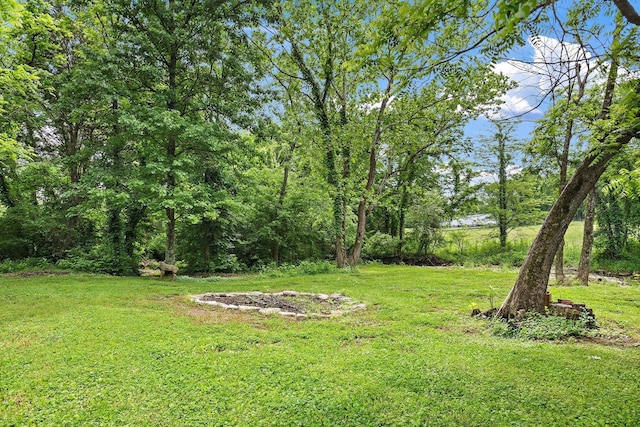 1029 Jenkins Ln, Hendersonville, TN 37075 - photo 89