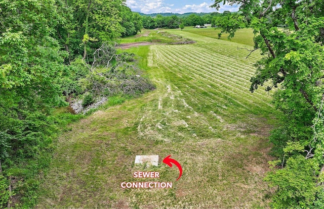 1029 Jenkins Ln, Hendersonville, TN 37075 - photo 17