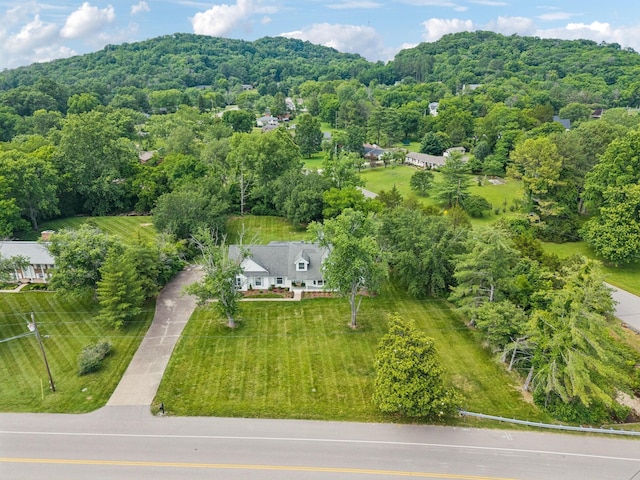 6500 Murray Ln, Brentwood, TN 37027 - photo 66