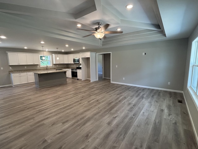 760 Hanestown Rd, Lafayette, TN 37083 - kitchen with appliances with stainless steel finishes, open floor plan, dark wood finished floors, white cabinetry, and recessed lighting