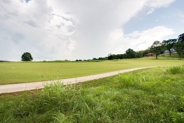 201 Stoneybrook Rd, Columbia, TN 38401 - view of property's community with a yard
