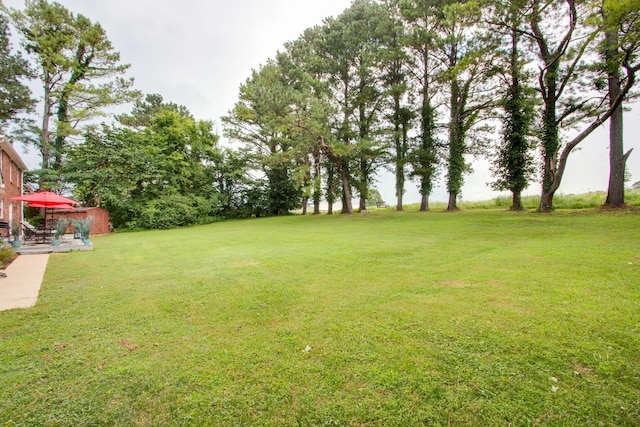 201 Stoneybrook Rd, Columbia, TN 38401 - view of grassy yard