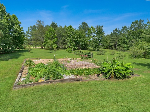 3534 Summertown Hwy, Summertown, TN 38483 - view of grassy yard with a garden