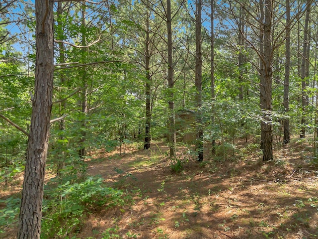 3534 Summertown Hwy, Summertown, TN 38483 - view of tree filled area