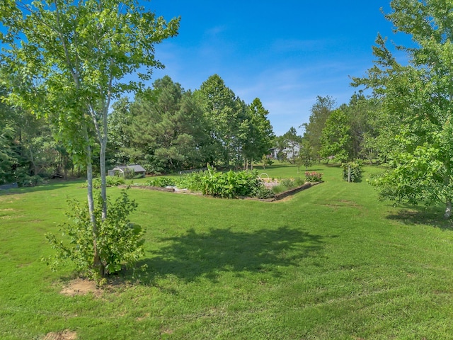 3534 Summertown Hwy, Summertown, TN 38483 - view of grassy yard