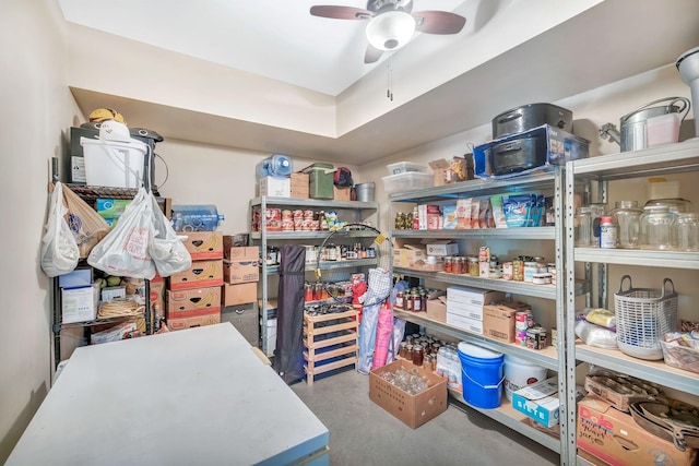 3534 Summertown Hwy, Summertown, TN 38483 - storage room with a ceiling fan