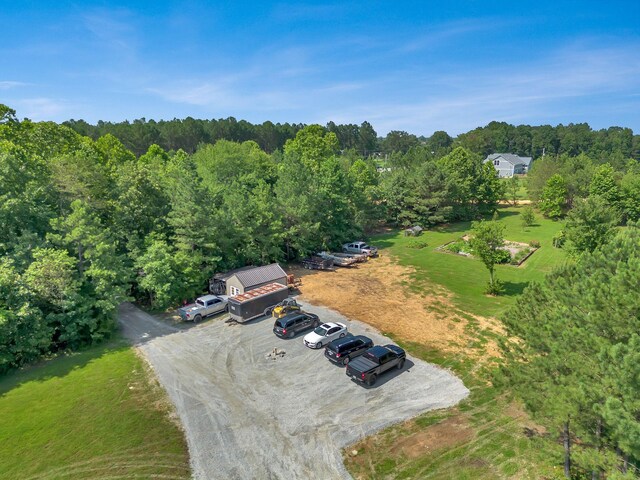 3534 Summertown Hwy, Summertown, TN 38483 - bird's eye view of a forest