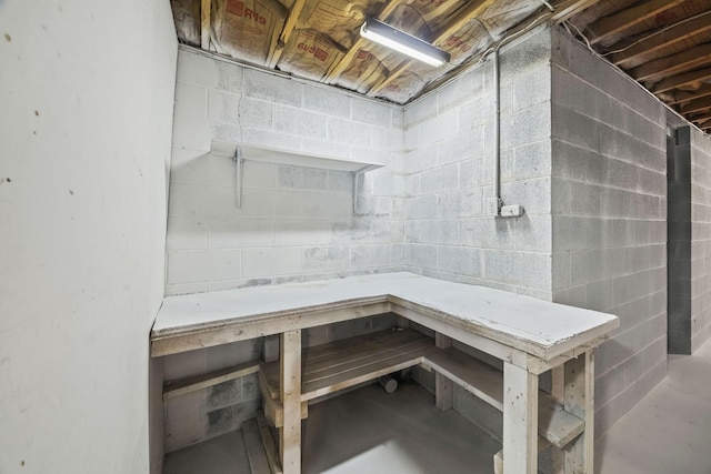 7125 Sutton Pl, Fairview, TN 37062 - view of basement