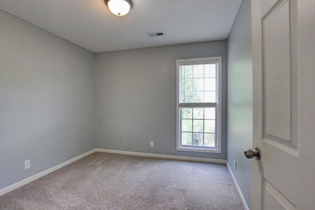 4425 Taylor Hall Ln, Adams, TN 37010 - spare room featuring healthy amount of natural light and carpet floors