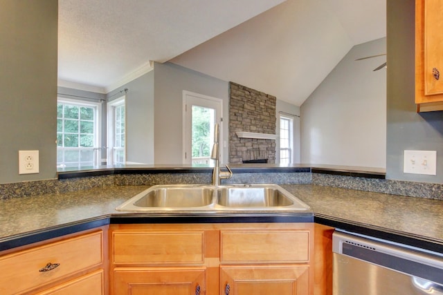 4425 Taylor Hall Ln, Adams, TN 37010 - kitchen with stainless steel dishwasher, dark countertops, a stone fireplace, open floor plan, and ceiling fan