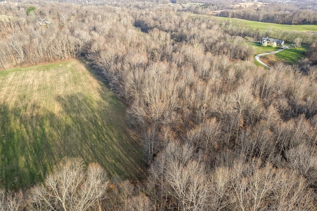 880 Wiley Brown Rd, Clarksville, TN 37043 - photo 5