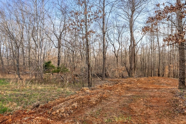 880 Wiley Brown Rd, Clarksville, TN 37043 - photo 18
