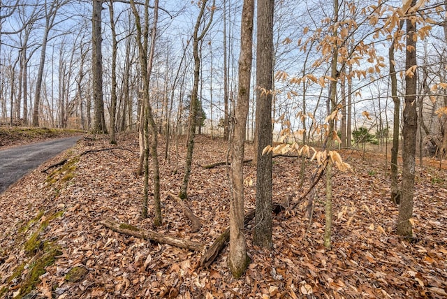 880 Wiley Brown Rd, Clarksville, TN 37043 - photo 20