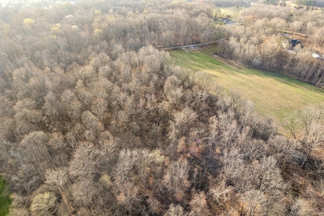 880 Wiley Brown Rd, Clarksville, TN 37043 - photo 12