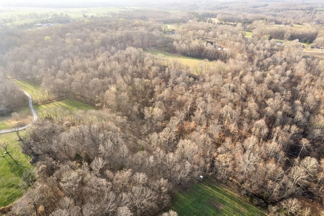 880 Wiley Brown Rd, Clarksville, TN 37043 - photo 11