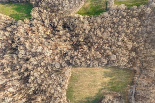 880 Wiley Brown Rd, Clarksville, TN 37043 - photo 15