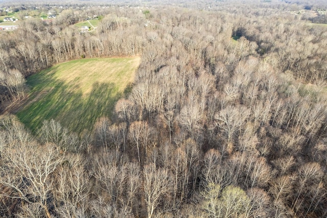 880 Wiley Brown Rd, Clarksville, TN 37043 - photo 4