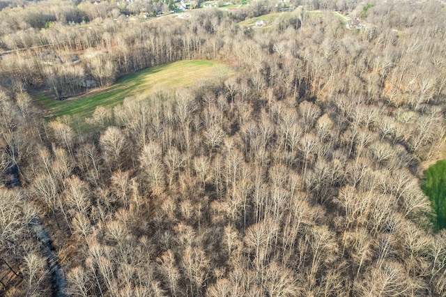 880 Wiley Brown Rd, Clarksville, TN 37043 - photo 14