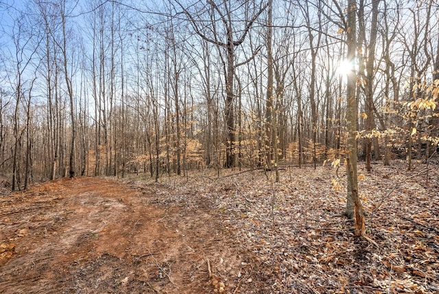 880 Wiley Brown Rd, Clarksville, TN 37043 - photo 19