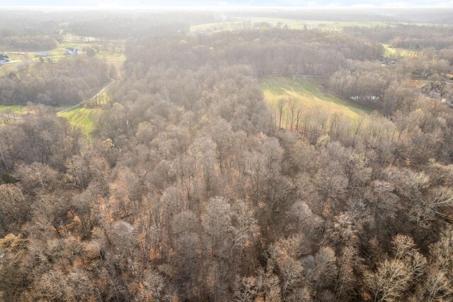 880 Wiley Brown Rd, Clarksville, TN 37043 - photo 9