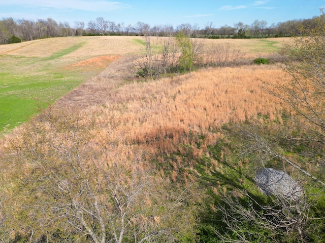 8 Minnis, Springfield, TN 37172 - photo 19