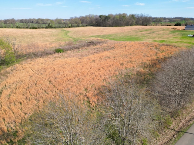 8 Minnis, Springfield, TN 37172 - photo 20