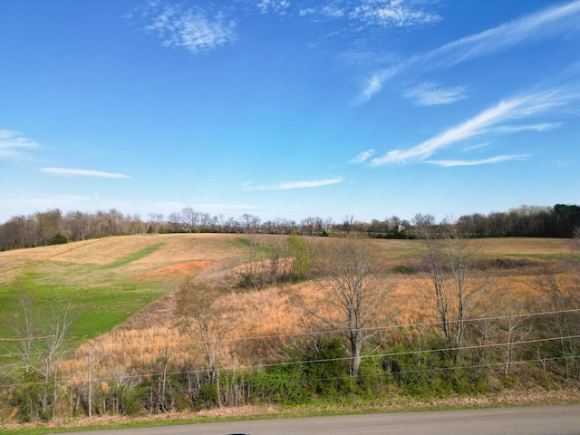 7 Minnis, Springfield, TN 37172 - photo 18