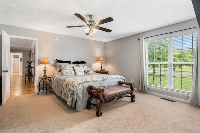 9744 Jefferson Valley Dr, Murfreesboro, TN 37129 - photo 19