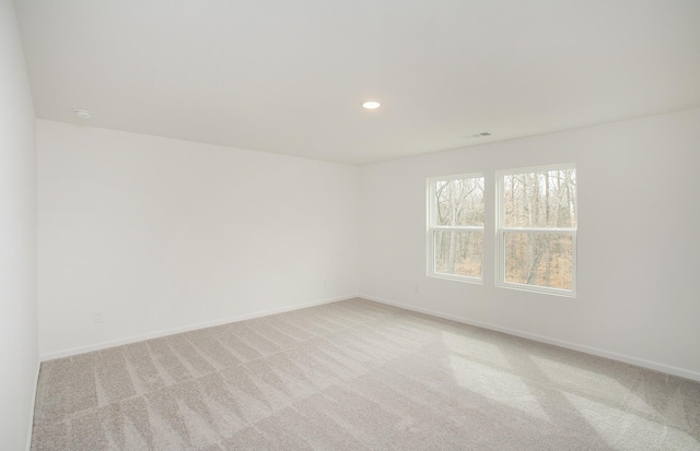 324 Deacon Ln, White House, TN 37188 - photo 13