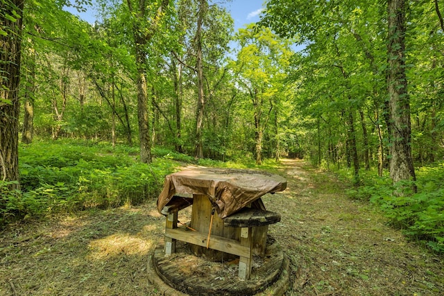 4934 Reynolds Rd, Columbia, TN 38401 - view of home's community with a view of trees