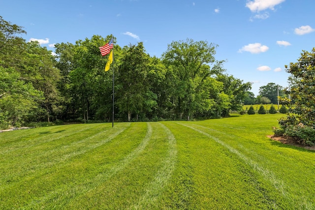 4934 Reynolds Rd, Columbia, TN 38401 - view of green lawn