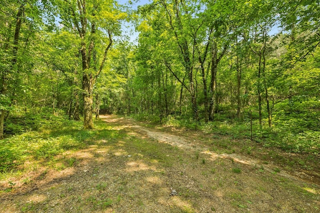 4934 Reynolds Rd, Columbia, TN 38401 - view of tree filled area