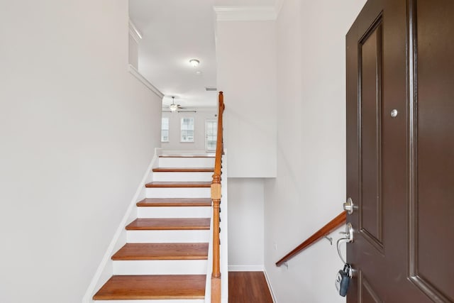 5545 Prada Dr, Brentwood, TN 37027 - photo 4